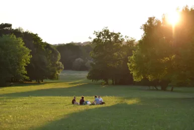Le parc du Château, un groupe de personnes assises dans la prairie au soleil couchant