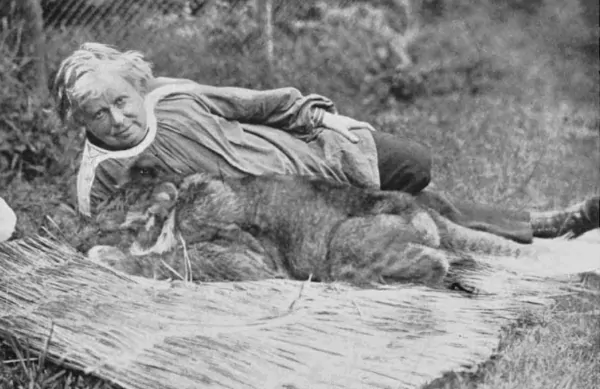 Duel d'oeuvres - les hommes et les animaux