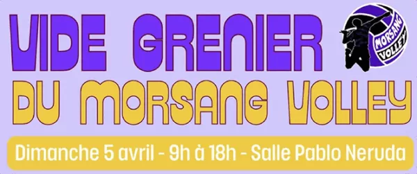 Vide Grenier Morsang Volley