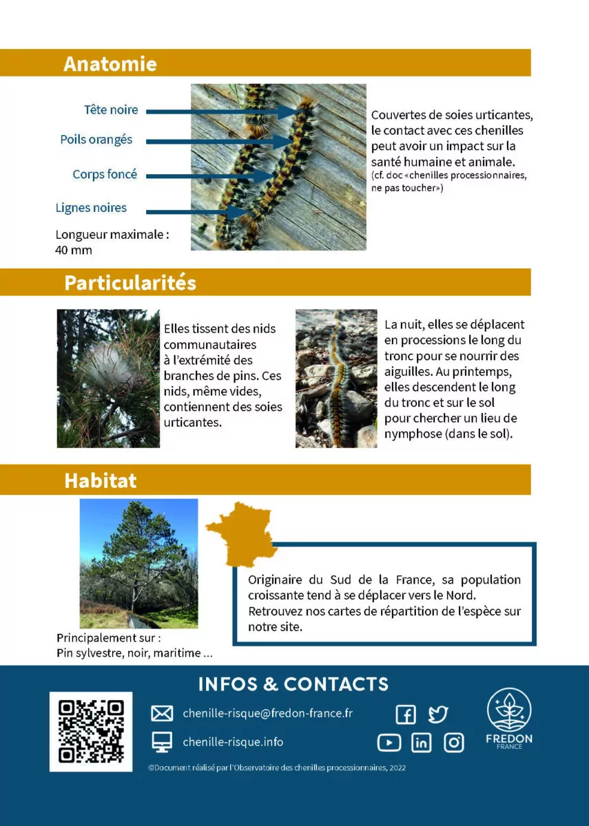 RECO-01-CP_Cartes-reco-chenilles_CPP_Page_2
